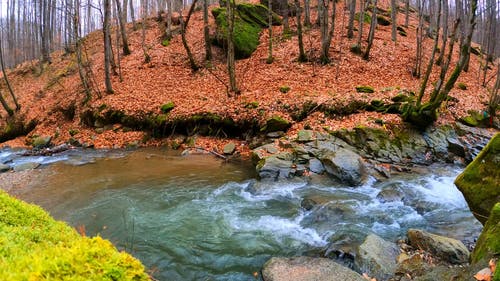 有关下落, 天性, 水流动的免费素材视频