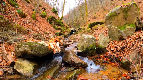 有关下落, 天性, 岩石的免费素材视频