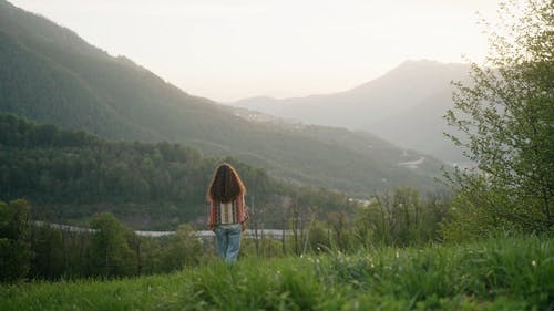 有关假日, 夏天, 天性的免费素材视频