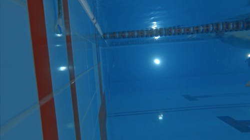 有关人, 女人, 比赛的免费素材视频