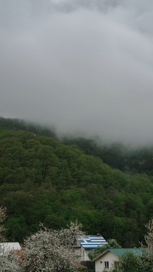 有关垂直视频,天性,山的免费素材视频