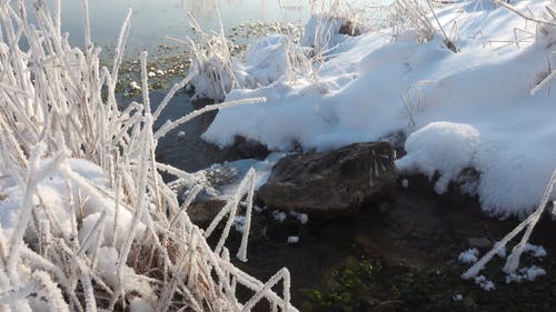 有关@户外, 下雪的, 冬天的免费素材视频