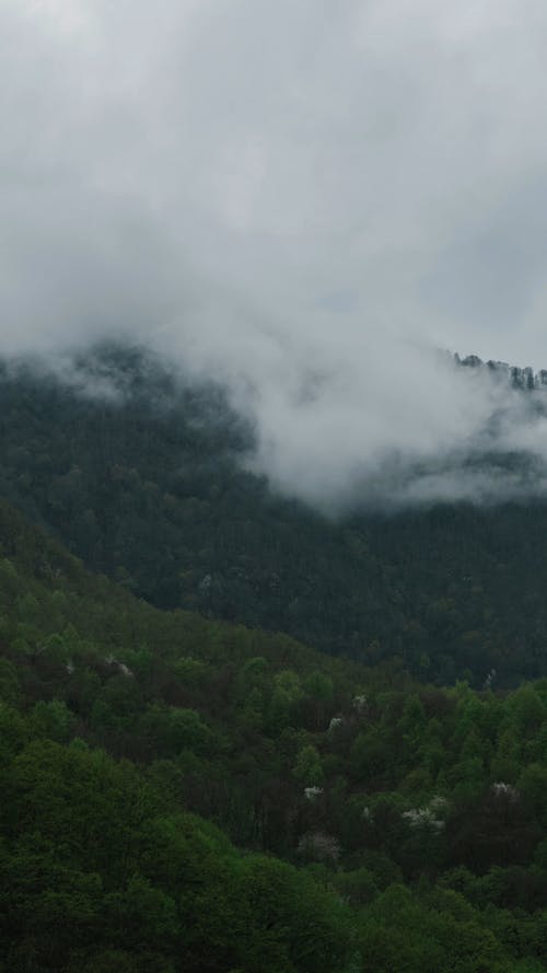 有关云林, 多云的, 天性的免费素材视频