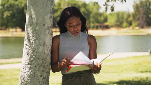 有关事业, 商业, 启动的免费素材视频