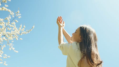 有关举起手臂, 人, 女人的免费素材视频