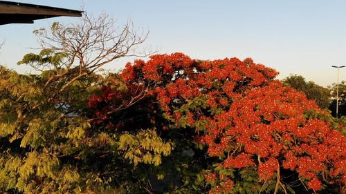 有关人群, 停, 户外的免费素材视频