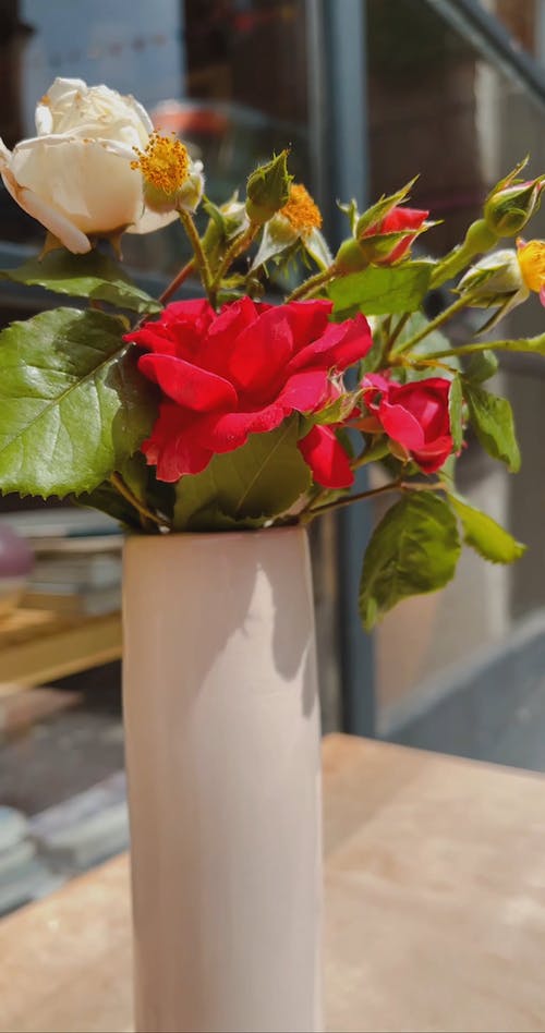 有关垂直视频, 木桌, 树叶的免费素材视频