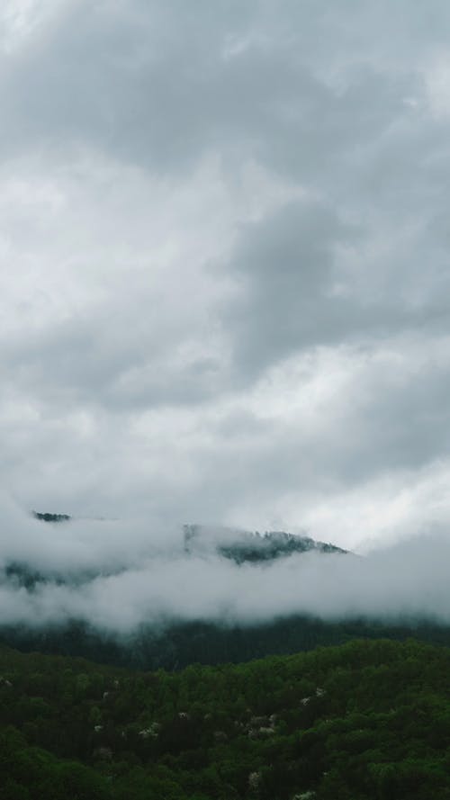 有关云林, 多云的, 天性的免费素材视频