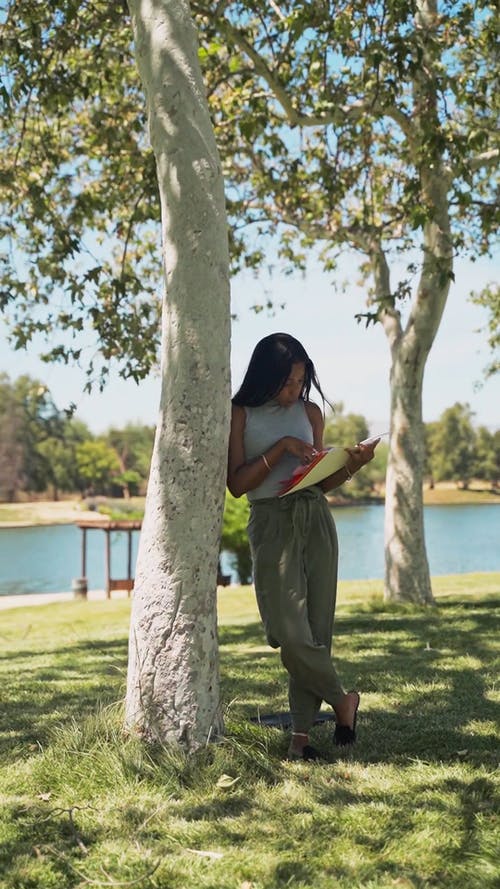 有关事业, 商业, 启动的免费素材视频