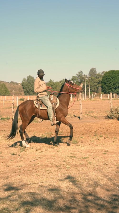 有关人, 垂直视频, 户外的免费素材视频