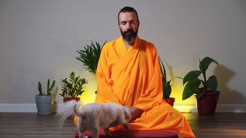 有关僧侣, 内心的平静, 冥想的免费素材视频