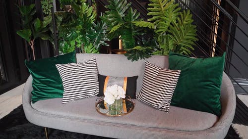 有关Throw Pillows, 反射, 室内植物的免费素材视频