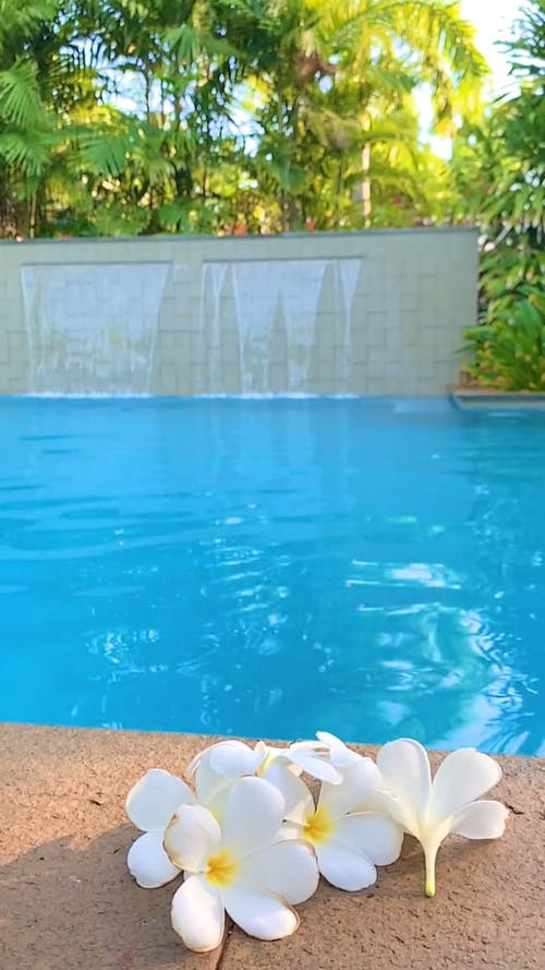 有关垂直视频, 夏天, 度假村的免费素材视频