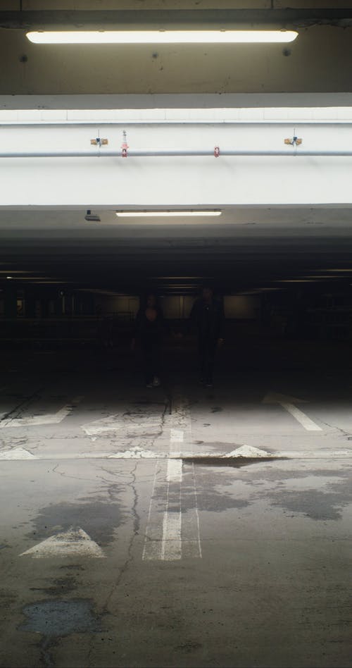 有关@户外, 一对, 一起的免费素材视频