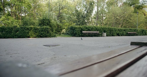 有关人,公园,坐的免费素材视频