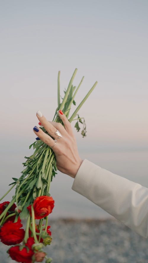 有关垂直视频, 握住, 特写的免费素材视频