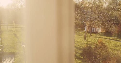 有关一对, 一起, 摆姿势的免费素材视频