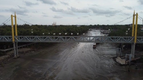 有关卡车,景观,树木的免费素材视频