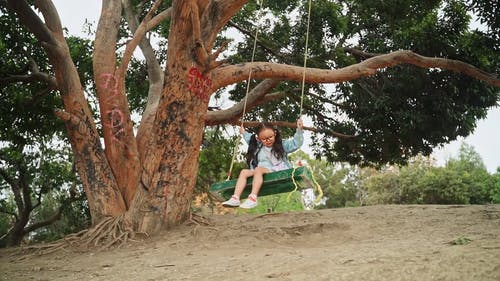 有关享受, 儿童, 分公司的免费素材视频