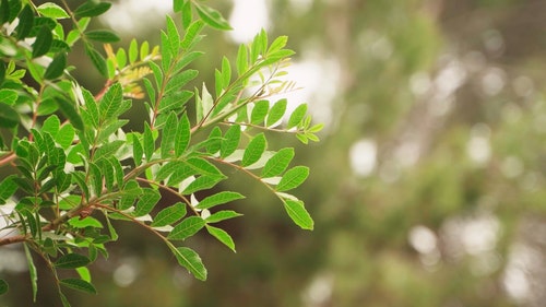 有关工厂,厂,景深的免费素材视频