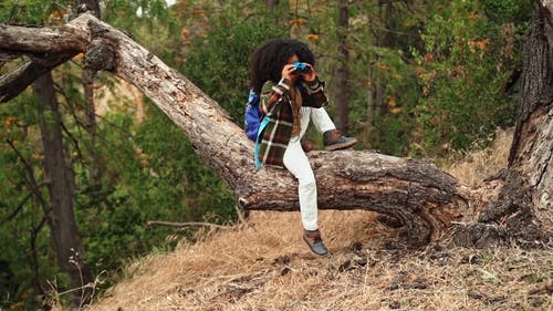 有关人, 冒险, 原本的免费素材视频