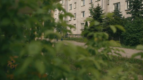 有关一对, 人, 夥伴的免费素材视频