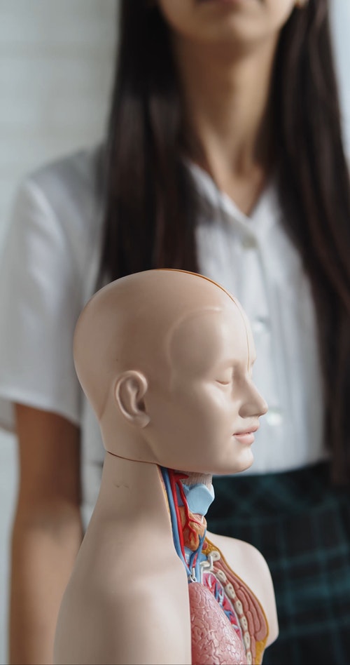 有关不露面,人,人类的身体的免费素材视频