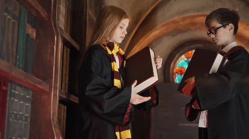 有关享受, 友谊, 哈利波特的免费素材视频