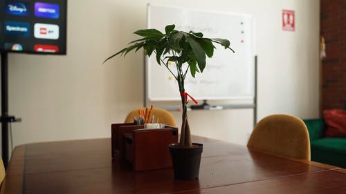 有关办公室背景, 合作, 团队会议的免费素材视频