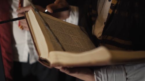 有关人, 哈利波特, 图书的免费素材视频