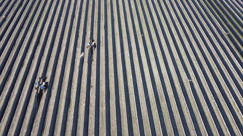 有关空中镜头,空拍机连续镜头,农业的免费素材视频