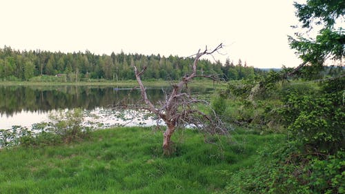 有关天性, 天空, 户外的免费素材视频