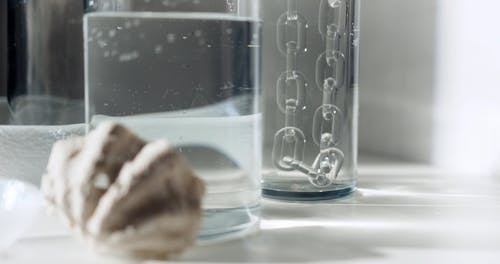 有关壳, 泡泡, 物件的免费素材视频