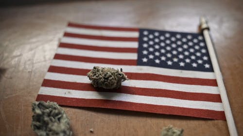 有关乾燥, 休闲毒品, 医用大麻的免费素材视频