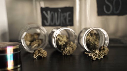 有关合法大麻, 大麻, 模糊的免费素材视频