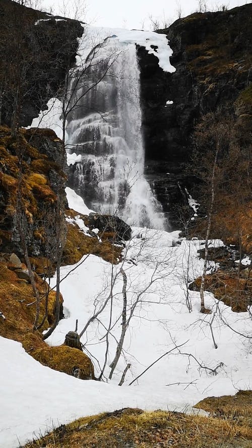 有关冬季, 垂直视频, 天性的免费素材视频