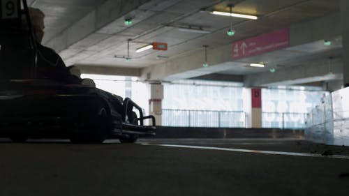 有关人种, 光, 友谊的免费素材视频