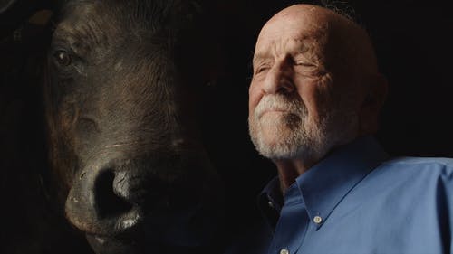 有关中等特写, 人, 家伙的免费素材视频