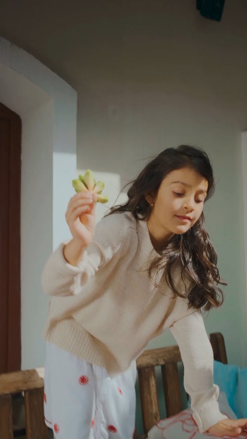 有关垂直视频, 准备, 花瓶的免费素材视频