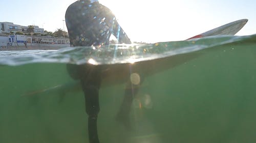 有关人, 海, 海洋的免费素材视频