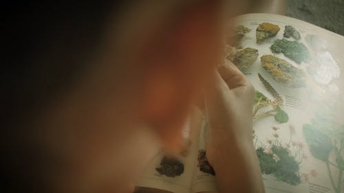 有关乾燥, 人, 室内的免费素材视频