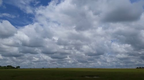 有关吃草, 多云的天空, 天气的免费素材视频