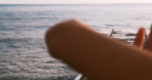 有关景深, 模糊, 海滩的免费素材视频