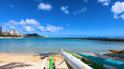 有关卡哈纳莫库公爵海滩, 夏威夷, 天性的免费素材视频