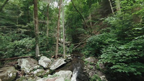 有关天性, 岩石, 户外的免费素材视频