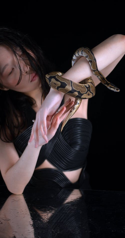 有关垂直视频, 室内, 巫婆的免费素材视频