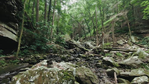 有关天性, 天然岩层, 宁静的景观的免费素材视频
