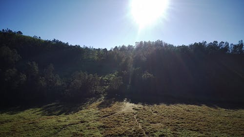 有关wonosobo, 印尼, 反对光明的免费素材视频