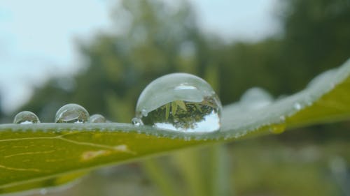 有关@户外, 冬季, 冷的免费素材视频