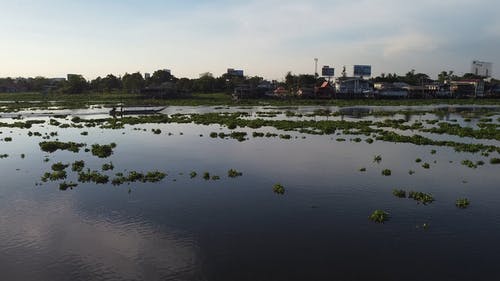 有关chao phraya, 亚洲, 划船的免费素材视频